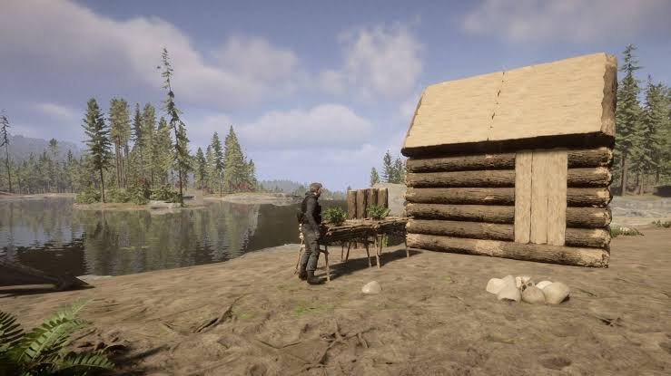 Sons Of The Forest Survivants en coopération dans Sons Of The Forest
